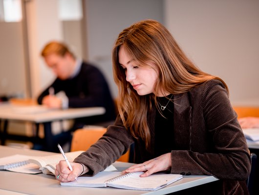 Versneld en begeleid studeren