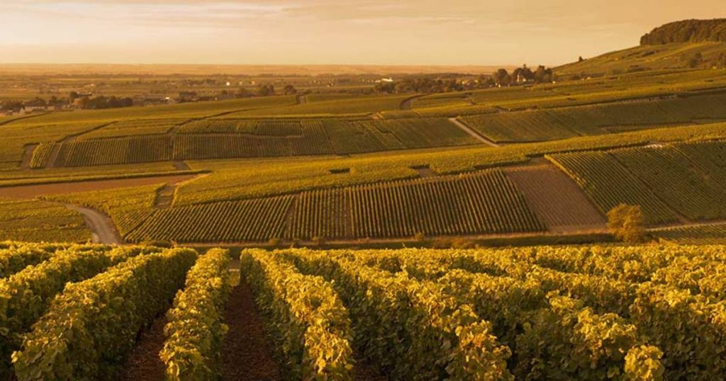 Studenten van EuroCollege tijdens de wijnreis in de kelders van Pommery in Reims
