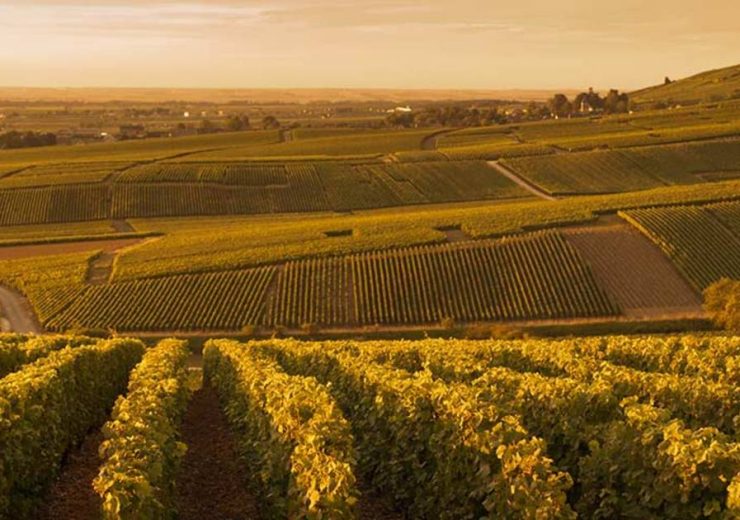 Studenten van EuroCollege tijdens de wijnreis in de kelders van Pommery in Reims