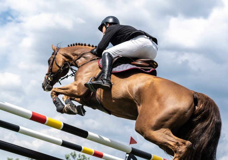 EuroCollege op CHIO Rotterdam 2024 tussen de springwedstrijden en het Stroodorp